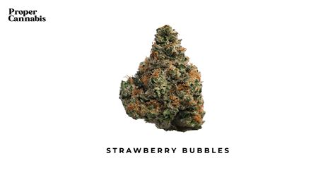 bubblez strain|strawberry bubbles strain leafly.